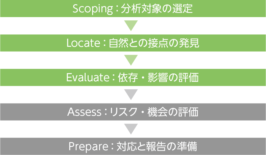 TNFDが推奨する「LEAPアプローチの図
