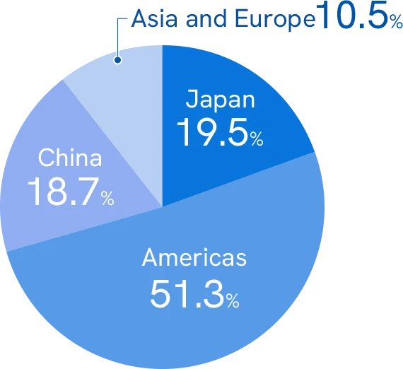 Pie chart of sales ratio by geographic segment of Tay Estec