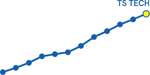 Sales Trends Since the Establishment of TS Tech