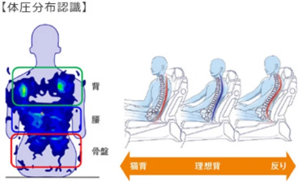 人が座った際に背もたれにかかる圧力図と、猫背・理想姿勢・反り姿勢それぞれのイメージ図。