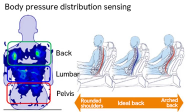 An image of the pressure applied to the backrest when a person sits, and images of the hunched posture, ideal posture, and warped posture.